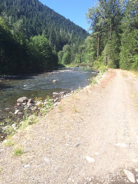 One of several views of Salmon Creek.