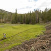 A large open meadow on the Little Boulder Creek trail.