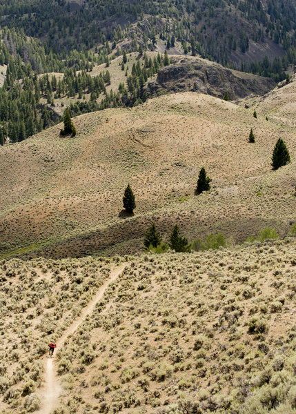 The last bit of the Castle Divide route is through open sage meadows.