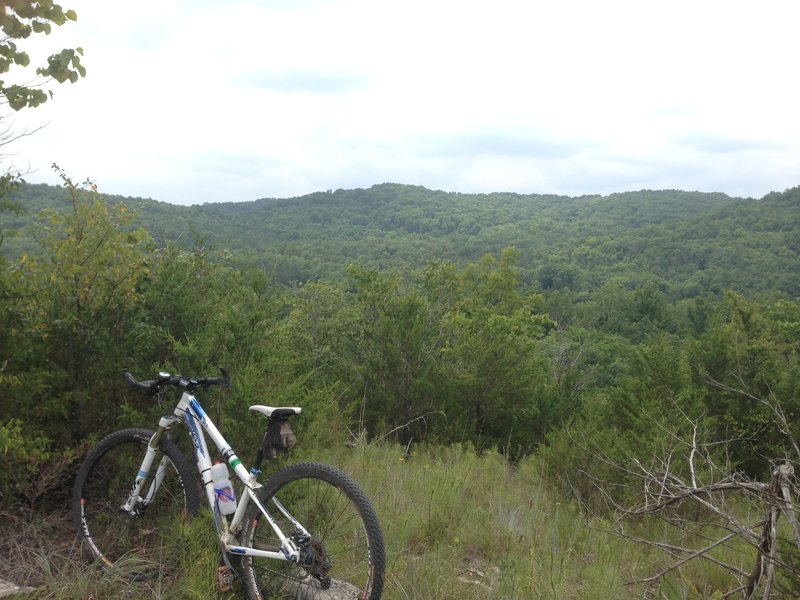 Overlook from the Yellow.