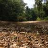 Creek Crossing