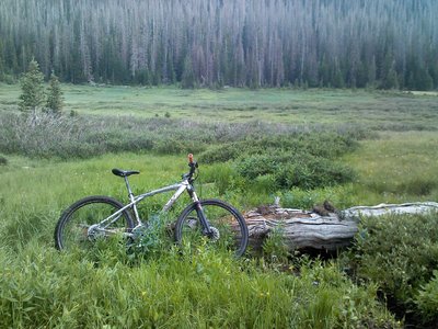 Overlooking Trap Creek