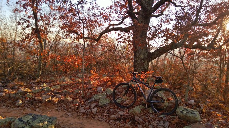 Great fall day, November 2012