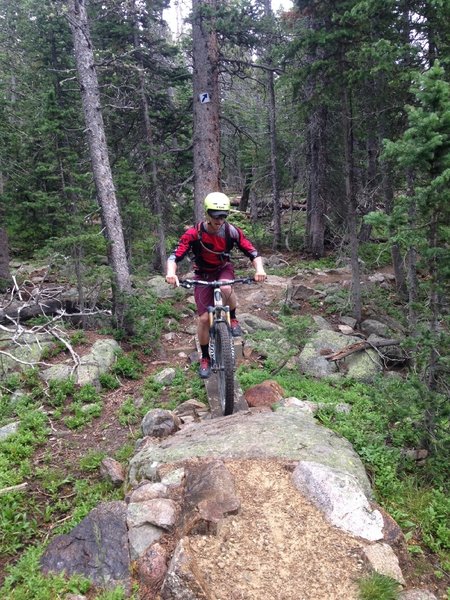 One of many wooden skinny bridge features- riding over this shorter one with ease.