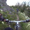 Beargrass on the descent from Palisade Mountain