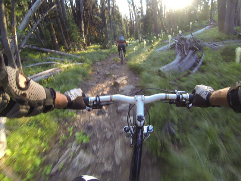 Palisades Loop Mountain Bike Trail Hamilton Montana