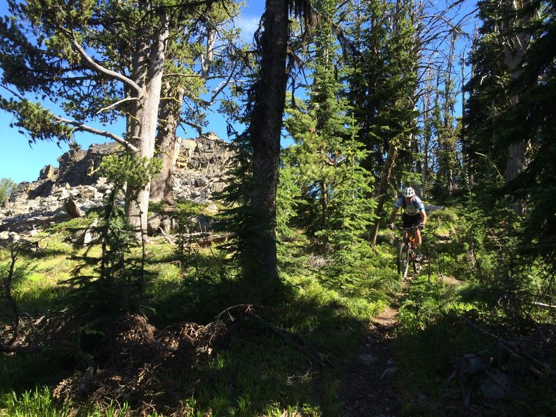 Riding along the Palisade ridge.