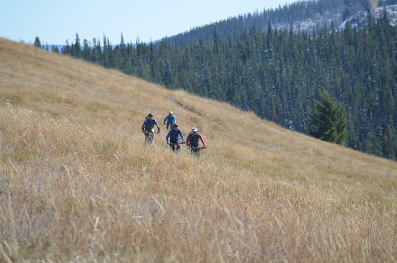 Open meadows on Warm Springs Ridge