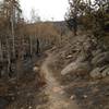 Singletrack through an Aspen stand that mostly survived the burn. Sweeping vistas ahead.