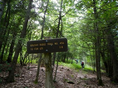Trailhead is up and to the left from end of Little Mare trail