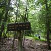 Trailhead is up and to the left from end of Little Mare trail