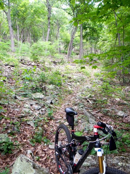 Some rocks on the way down