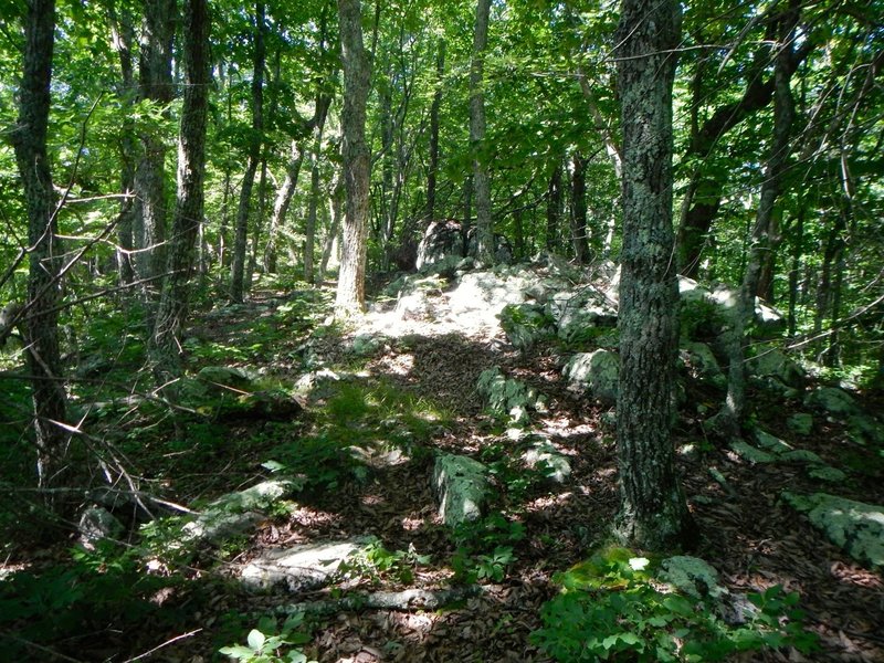 Trail winds through the old rocks