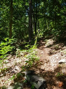 Gets really steep!