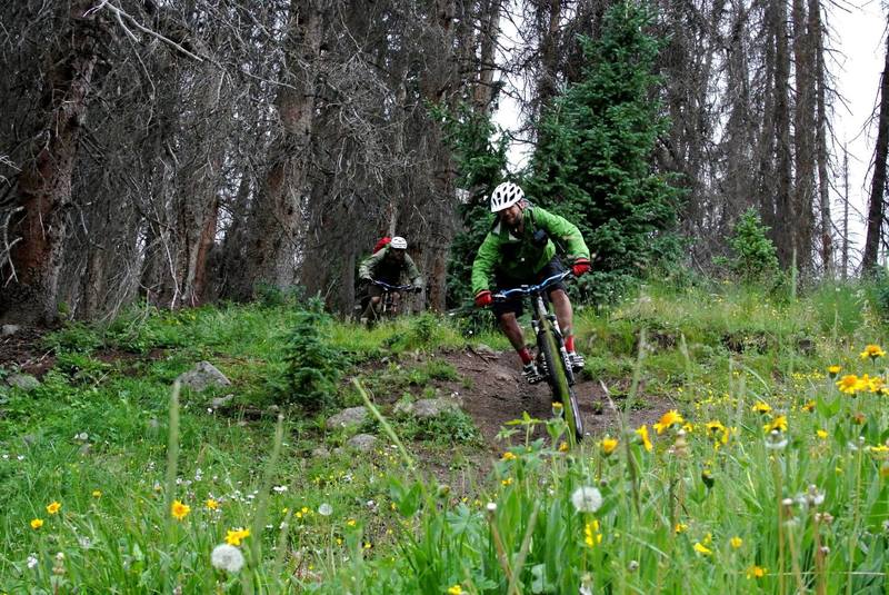 Shredding a steep, rooty section of Miner's Creek.