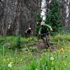 Shredding a steep, rooty section of Miner's Creek.