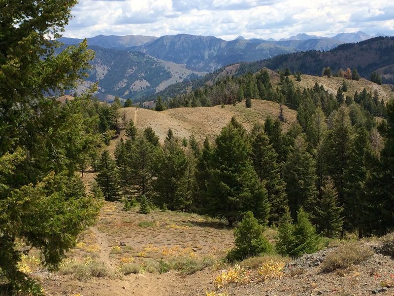 Riders on the far hill