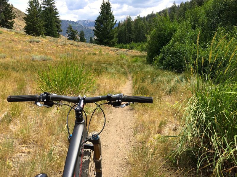 Typical fast and smooth section of Oregon Gulch