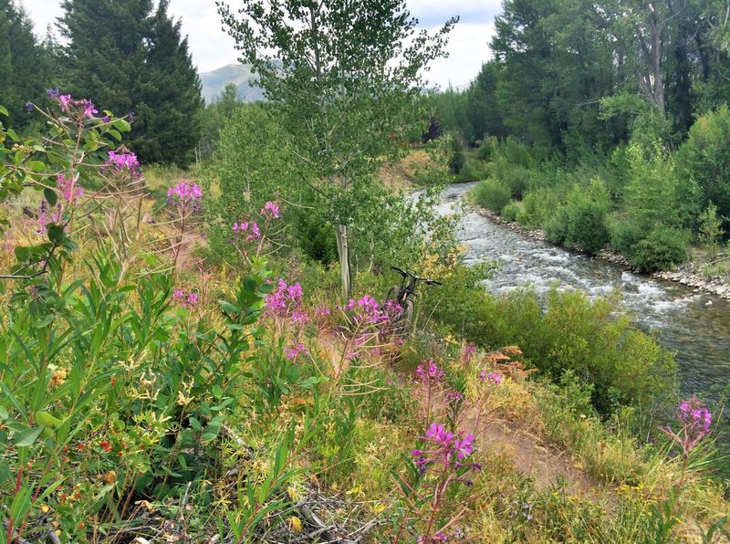 Great riding along the Wood River