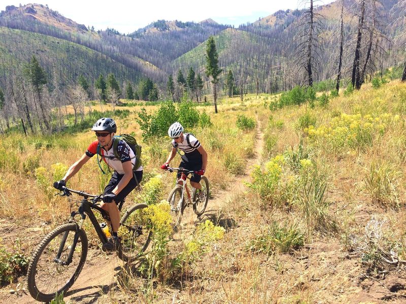 Climbing out of the gulch, you get interesting views of the burn area.