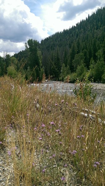 Big Wood River outside of Ketchum