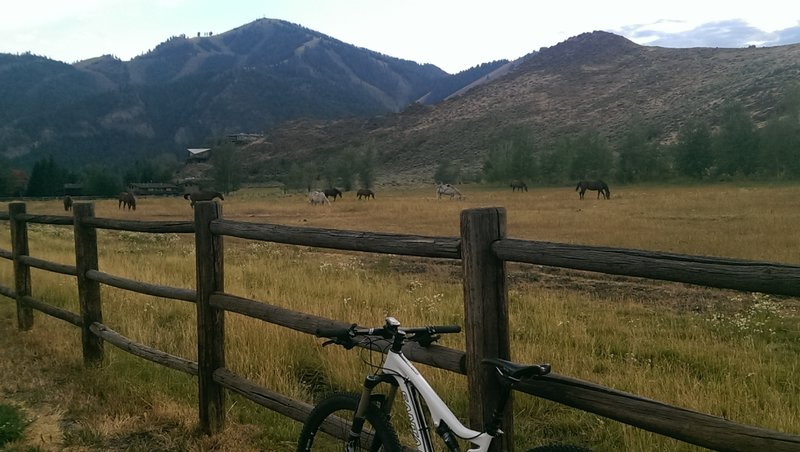 Bald Mountain views from the bike path