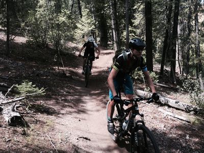 Welcome shade... on the Shadyside Trail