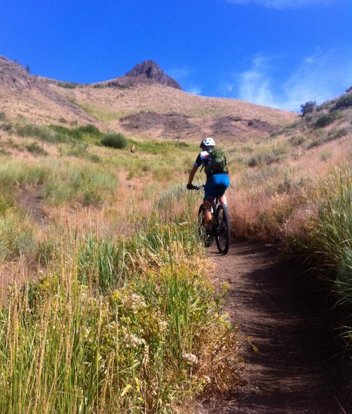 Soaking up the sun on Adams - Lake Creek Connector.