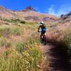 Soaking up the sun on Adams - Lake Creek Connector.