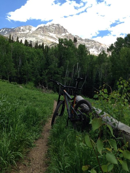 Climbing the Deep Creek Trail in Telluride with Dallas Peak in the background.  #santacruzbronson