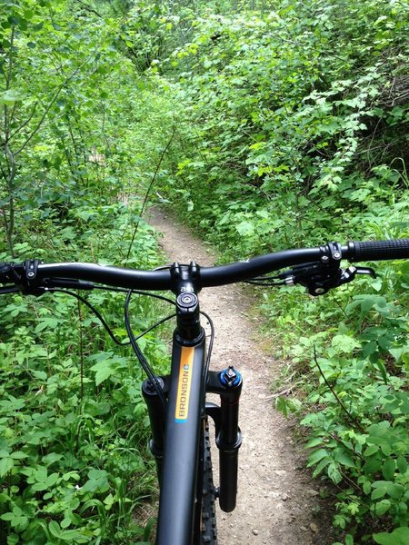 Bushwhacking on the Colorado Trail on my SC Bronson.