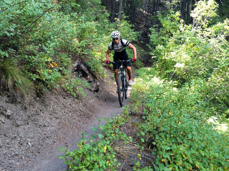 Fast riding on River Run Trail