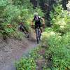 Fast riding on River Run Trail