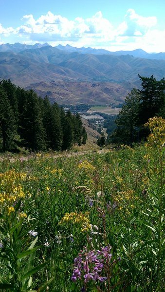 Pioneer Mountains in the far distance behind Ketchum