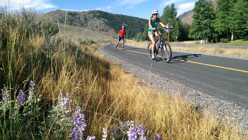 This path is super smooth and popular with roller skiers too!