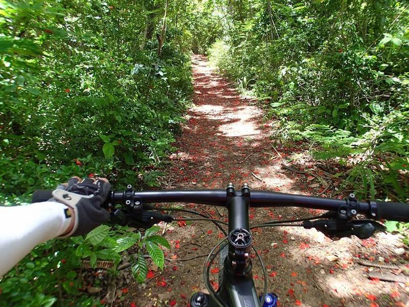 Uphill through dense undergrowth