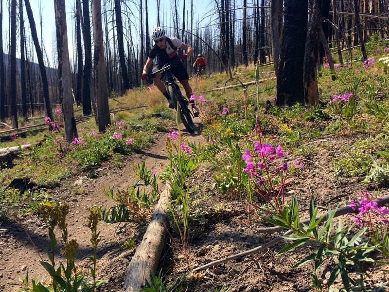 Ripping down Fisher Creek Trail