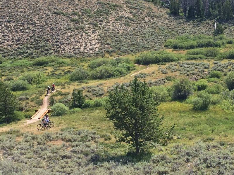 The meadow before the final small climb out Williams Creek