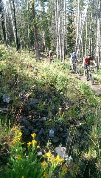 Heading up the initial climb on the Washington Lake Trail