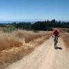 Climbing up the left fork of Engleman's loop