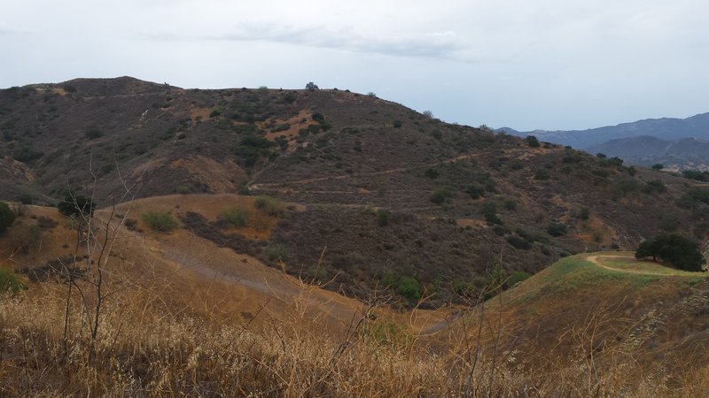 This is the trail that you come down after climbing out of Bark Park