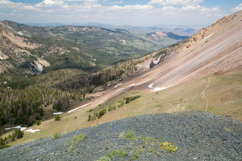 Castle Divide Trail