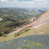 Castle Divide Trail