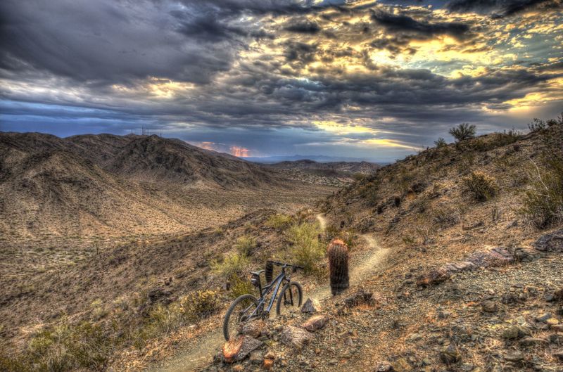 Early morning on Bursera Trail