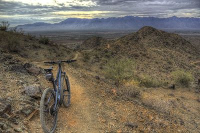 Descent down Bursera Trail