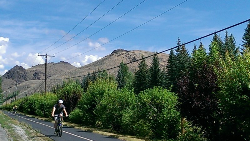 Line of hardwoods separates the trail form Highway 75