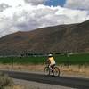 Riding past lots of agricultural fields north of Bellevue