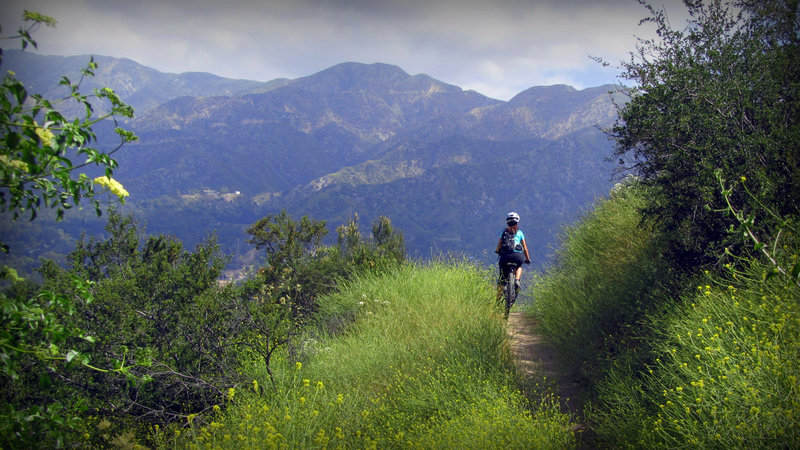 Nice singletrack.