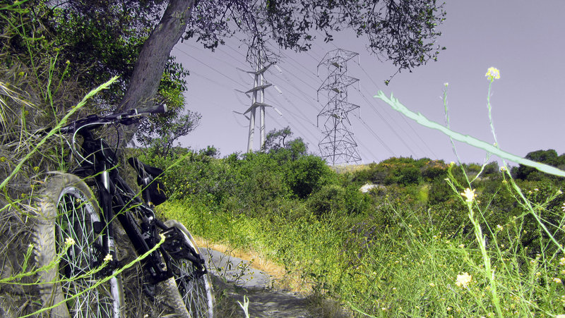 Cherry Canyon singletrack.