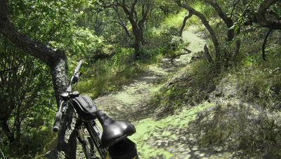 Cherry Canyon singletrack.